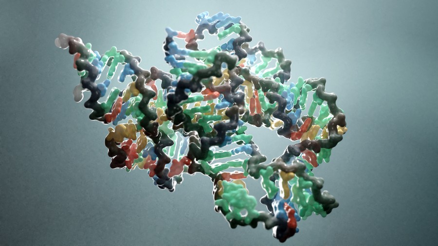 Portfolio Image
