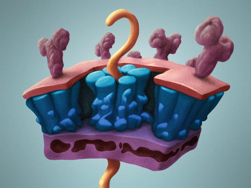 Portfolio Image