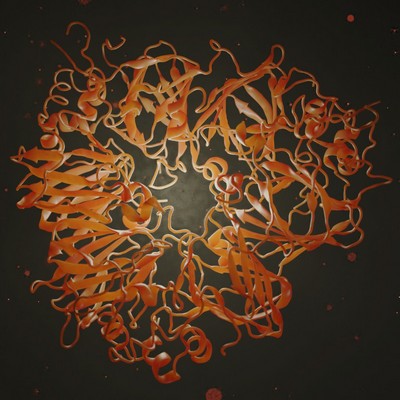 Portfolio Image